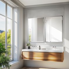 a bathroom with two sinks and large mirrors on the wall next to a potted plant