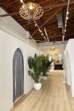 an empty room with wooden floors and white walls, plants in large vases on the floor