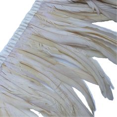 an image of white feathers flying in the air