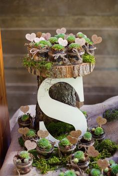 a table topped with lots of potted plants and a number 2 sign on top of it