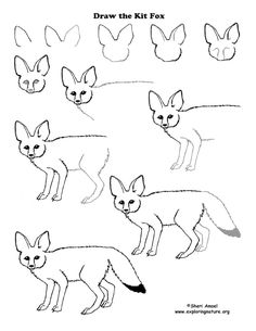 the fox and other animals are shown in this drawing