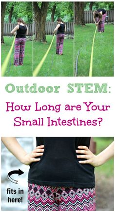 Human Biology STEM Activity: How Long are Your Small Intestines? fun and gross science for elementary and middle school ages! Outdoor Science, Human Body Unit Study, Human Body Science, Human Body Activities, Human Body Unit, Health Class, Science Activity, Human Body Systems, Science Activities For Kids