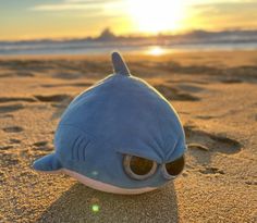 a stuffed shark toy is sitting in the sand at the beach as the sun sets