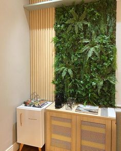 a living wall with plants on it in a room