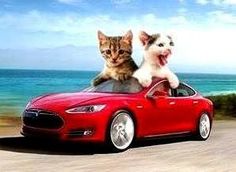 two cats sitting on top of a red car with the ocean in the back ground