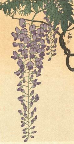 an illustration of purple flowers hanging from a tree