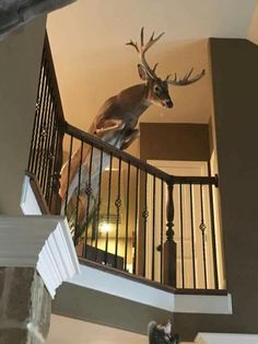 there is a deer statue on the top of a stair case in this house,