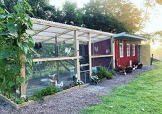 a chicken coop in the middle of a yard with chickens inside it and plants growing out of them