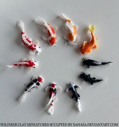 several different colored koi fish are arranged in a circle on a white surface with the words polymer clay miniatures sculpted by shad