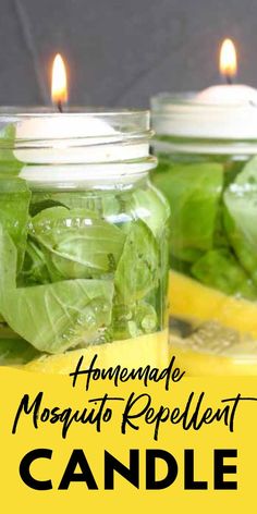 two mason jars filled with green leafy leaves next to a lemon and some candles