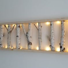 lighted birch trees are mounted on the wall