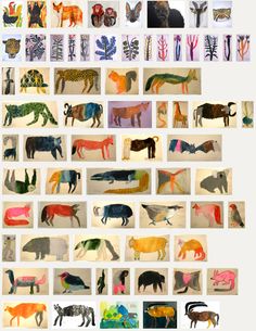 a collage of different types of animals