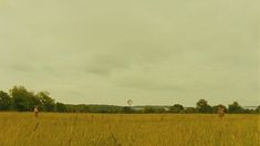 two people are flying kites in the middle of an open field with tall grass