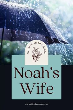 the cover of noah's wife, with an umbrella and rain falling on it