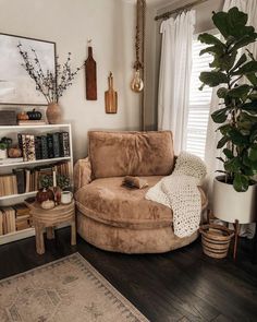 a living room filled with furniture and bookshelves next to a large potted plant