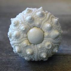 a white object sitting on top of a wooden table