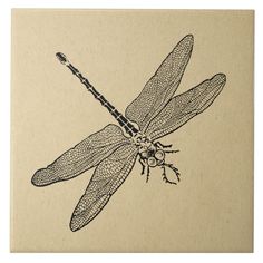 a drawing of a dragonfly sitting on top of a piece of paper