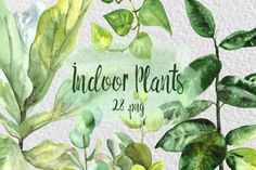 watercolor painting of green plants with the words, indoor plants 25 p m d