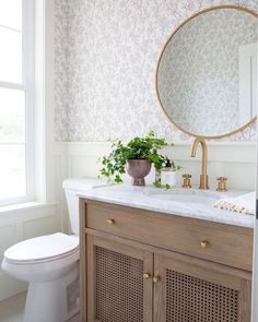 a white toilet sitting next to a bathroom sink under a mirror and a potted plant