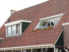 two cows are standing in front of a red tiled building with green shutters and windows