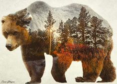 a bear with trees on it's back is shown in this artistic painting style