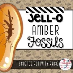 the science activity page for jello - o amber fossiles