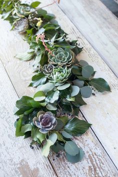 a long row of succulents sitting on top of a wooden table