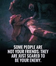 some people are not your friends they are just scared to be your enemy - lion