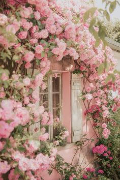 pink roses growing on the side of a building with an open window and shutters