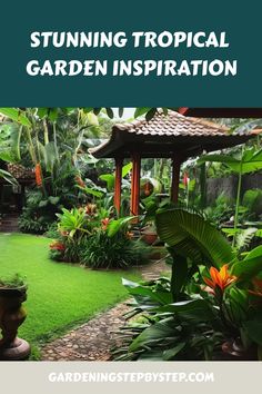 a lush green garden with lots of trees and plants in the background text reads, stunning tropical garden inspiration