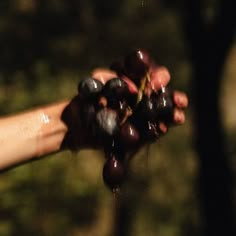 a person holding grapes in their hand with water dripping from it's top and bottom