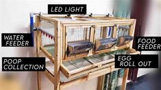 a bird cage that has different types of birds in it and labeled on the side