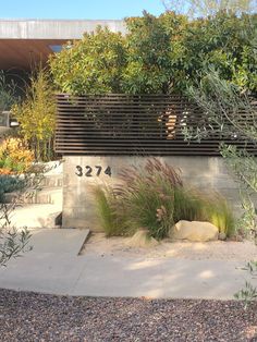 an outdoor area with plants and rocks in the foreground, along side a building