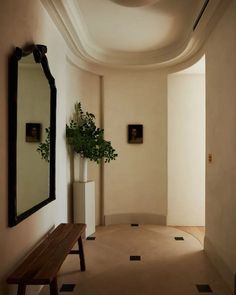 an empty hallway with a bench and mirror on the wall, in front of a potted plant