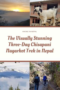 the cover of a book with images of people and animals in nepal, including a cow