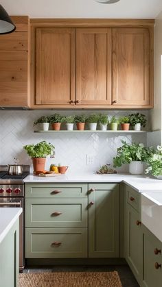 a kitchen with green cabinets and plants on the shelf above the stove, along with an area rug in front of the sink