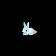 a white rabbit is sitting in the dark