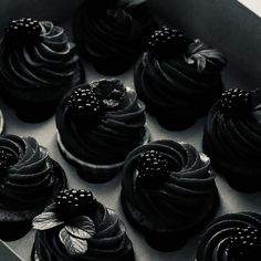 there are many cupcakes in the box with black frosting and berries on top