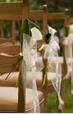 the chairs are decorated with white flowers and ribbons for an elegant touch to the ceremony