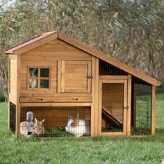 a wooden chicken coop with two chickens in it