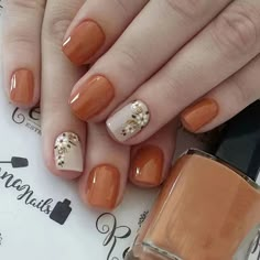 Faster shipping. Better service Elegant Round Nails Classy, Trendy Gel Nails 2023, Nail Art Spring Classy, Nagellack Trends, Fall Gel Nails, Fall Nail Art, Orange Nails, Dipped Nails