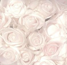 a bunch of white roses sitting on top of each other