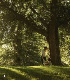 two people standing under a large tree in the shade