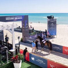 people are standing on the beach with horses