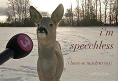 a deer standing in the snow next to a microphone with an i'm speechless message on it