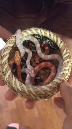 a person holding a basket filled with fake worms and other things in it's hands