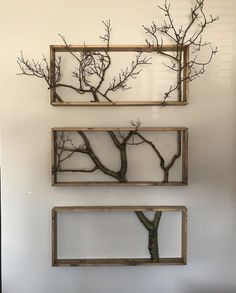 three frames are hanging on the wall with trees in them