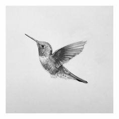 a drawing of a hummingbird flying in the sky