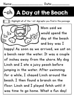 a day at the beach worksheet with an image of a teddy bear on it