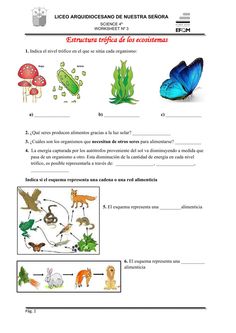 the worksheet for an animal and plant life unit, with pictures on it